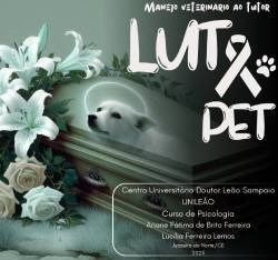 Manejo veterinário ao tutor pelo luto pet