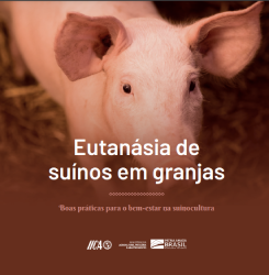 Eutanásia de suínos em granjas: boas práticas para o bem-estar na suinocultura