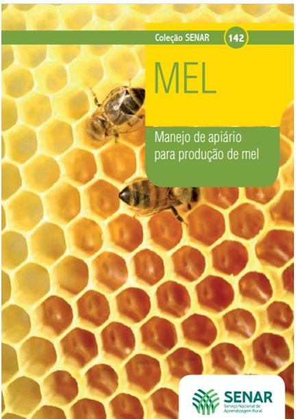 Manejo de apiário para produção de mel