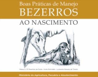 Boas práticas de manejo, bezerros ao nascimento